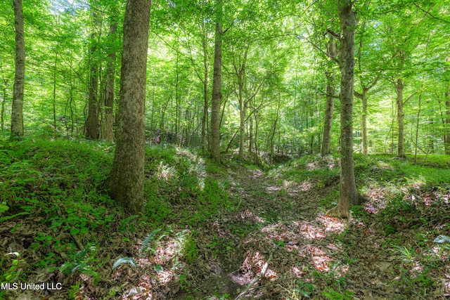 4005 Warriors Trl, Vicksburg, MS 39180 - view of woods