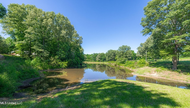 4005 Warriors Trl, Vicksburg, MS 39180 - water view featuring a forest