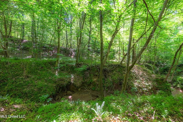 4005 Warriors Trl, Vicksburg, MS 39180 - view of woods