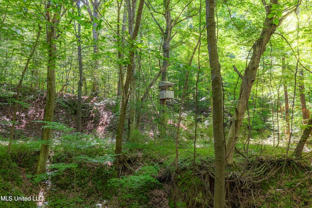 4005 Warriors Trl, Vicksburg, MS 39180 - view of wooded area