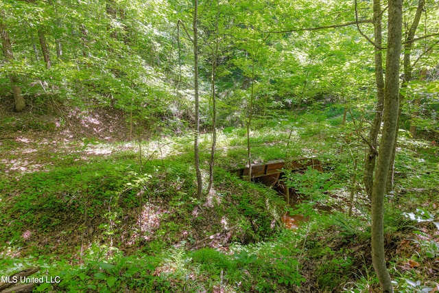4005 Warriors Trl, Vicksburg, MS 39180 - view of woods
