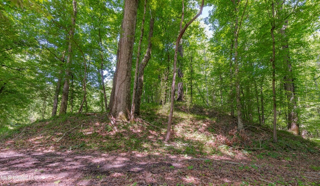 4005 Warriors Trl, Vicksburg, MS 39180 - view of tree filled area