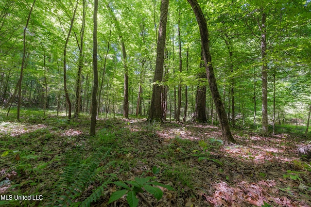 4005 Warriors Trl, Vicksburg, MS 39180 - view of wooded area
