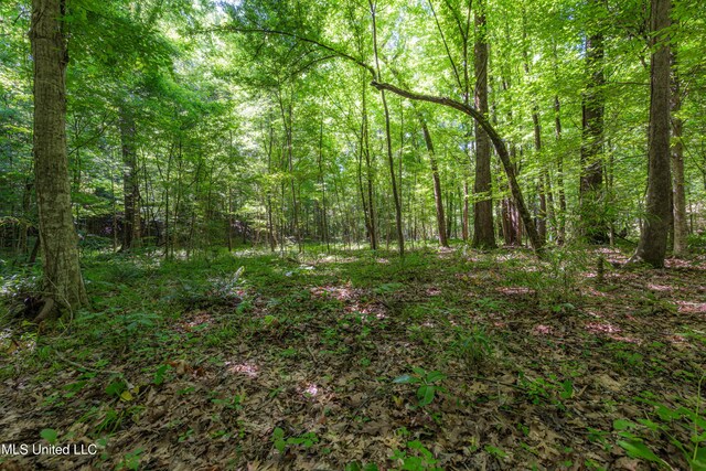 4005 Warriors Trl, Vicksburg, MS 39180 - view of wooded area