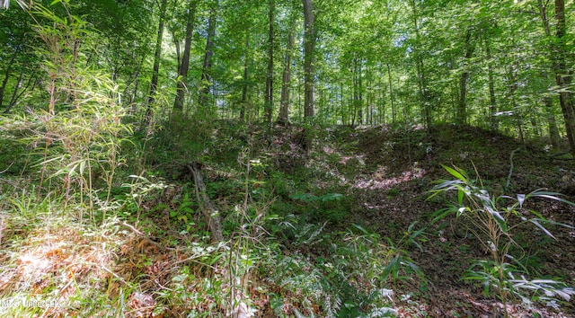4005 Warriors Trl, Vicksburg, MS 39180 - view of local wilderness