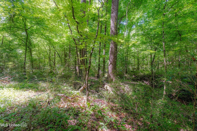 4005 Warriors Trl, Vicksburg, MS 39180 - view of woods
