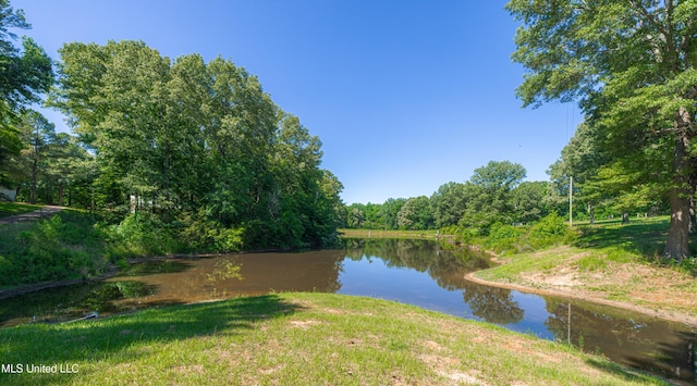 4005 Warriors Trl, Vicksburg, MS 39180 - water view with a forest