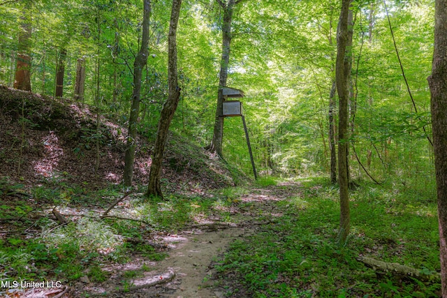 4005 Warriors Trl, Vicksburg, MS 39180 - view of woods