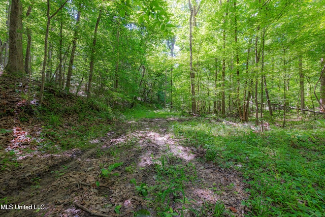 4005 Warriors Trl, Vicksburg, MS 39180 - view of tree filled area