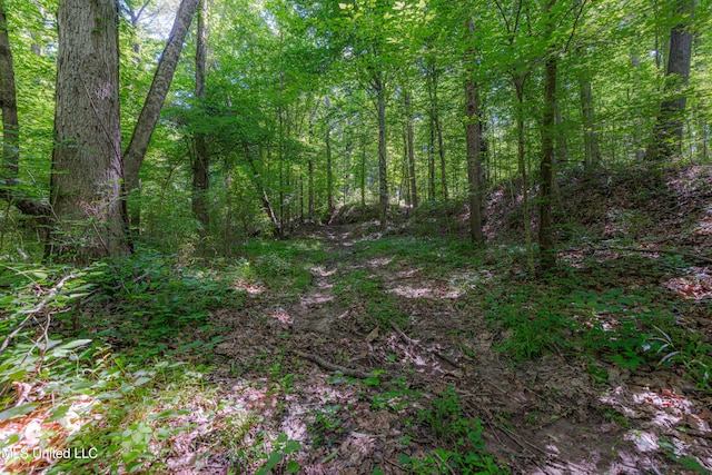 4005 Warriors Trl, Vicksburg, MS 39180 - view of wooded area