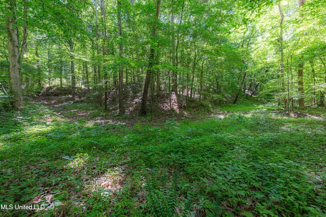 4005 Warriors Trl, Vicksburg, MS 39180 - view of wooded area