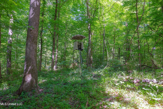 4005 Warriors Trl, Vicksburg, MS 39180 - view of wooded area
