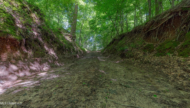 4005 Warriors Trl, Vicksburg, MS 39180 - view of wooded area
