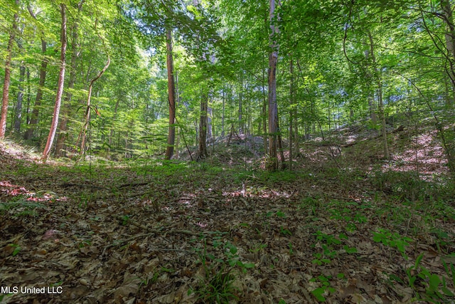 4005 Warriors Trl, Vicksburg, MS 39180 - view of tree filled area