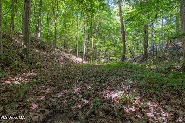 4005 Warriors Trl, Vicksburg, MS 39180 - view of woods