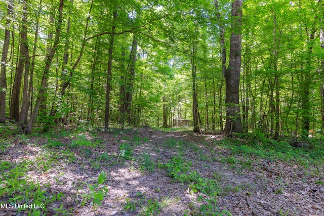 4005 Warriors Trl, Vicksburg, MS 39180 - view of woods