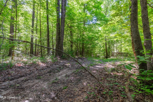 4005 Warriors Trl, Vicksburg, MS 39180 - view of tree filled area