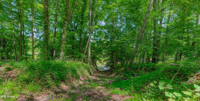 4005 Warriors Trl, Vicksburg, MS 39180 - view of undeveloped land