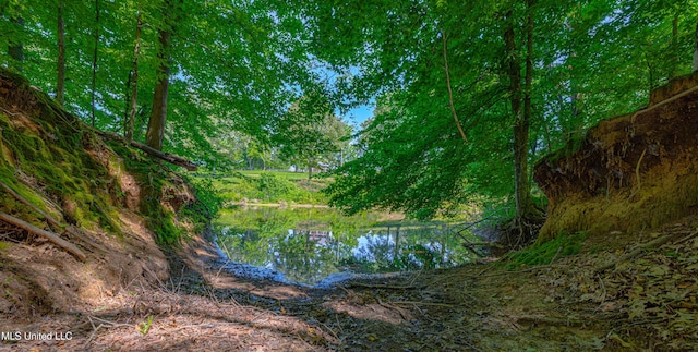 4005 Warriors Trl, Vicksburg, MS 39180 - water view