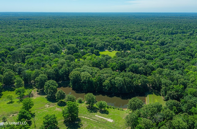 4005 Warriors Trl, Vicksburg, MS 39180 - bird's eye view of a forest and a large body of water