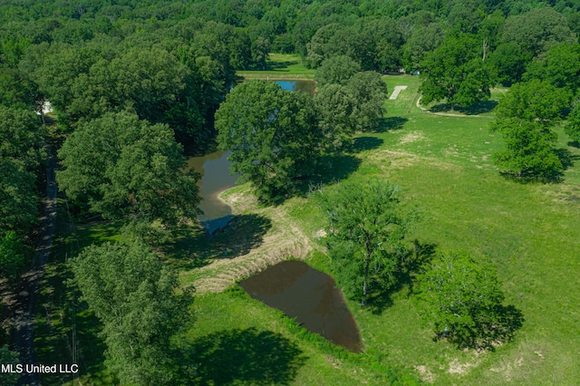 4005 Warriors Trl, Vicksburg, MS 39180 - view of property location featuring a nearby body of water and a heavily wooded area