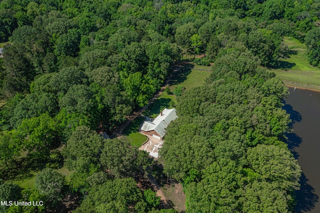 4005 Warriors Trl, Vicksburg, MS 39180 - view of property location featuring a forest and a nearby body of water
