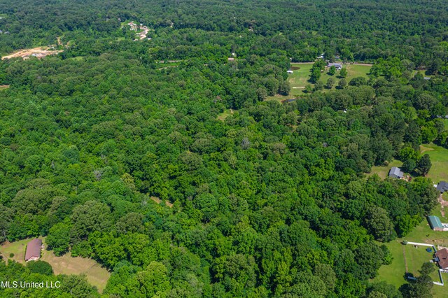 4005 Warriors Trl, Vicksburg, MS 39180 - aerial view of a forest