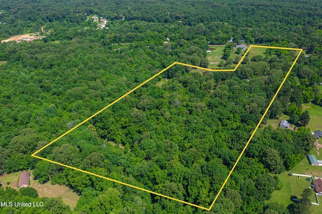 4005 Warriors Trl, Vicksburg, MS 39180 - aerial overview of property's location featuring a forest and property boundaries highlighted