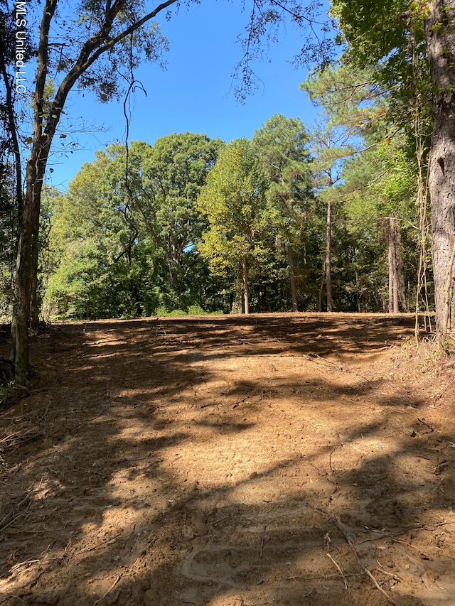 O Bluff Rd, Coldwater MS, 38618 land for sale