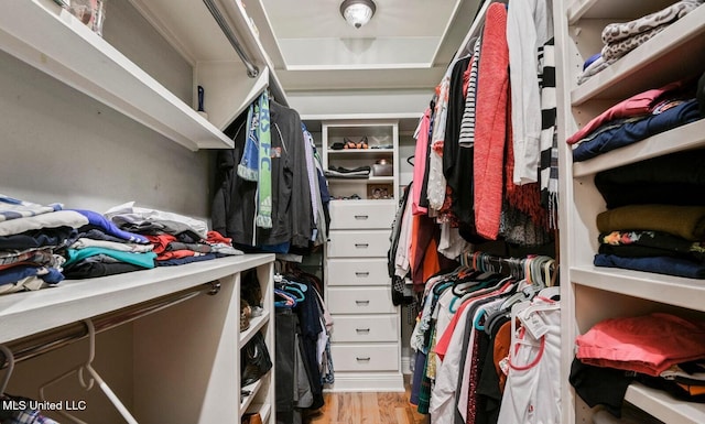 spacious closet with light wood-type flooring