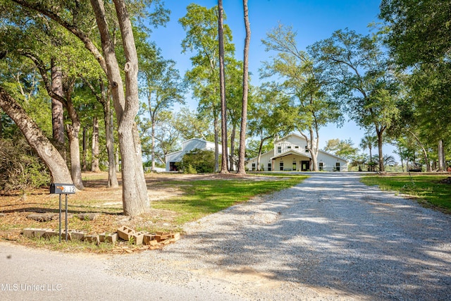 view of street featuring gravel driveway