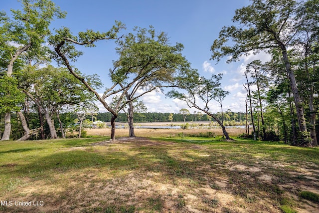 view of yard with a water view