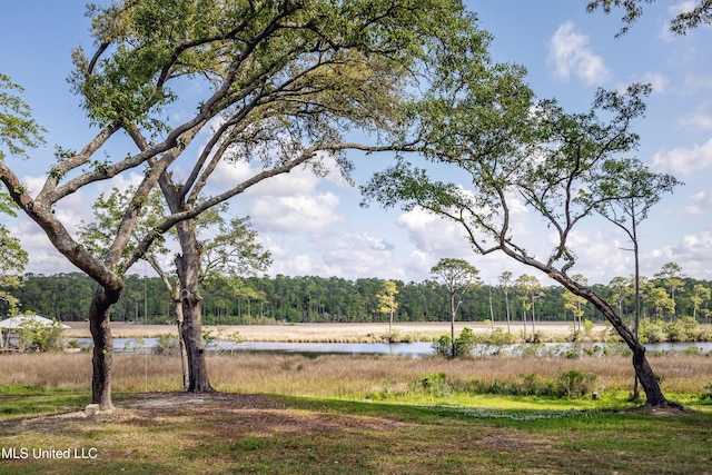 water view with a view of trees