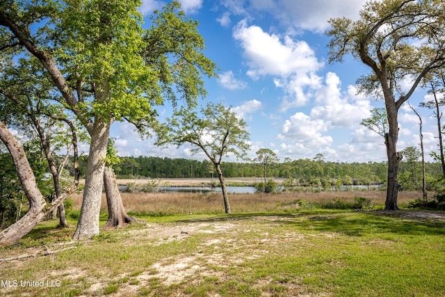 view of yard featuring a water view and a wooded view
