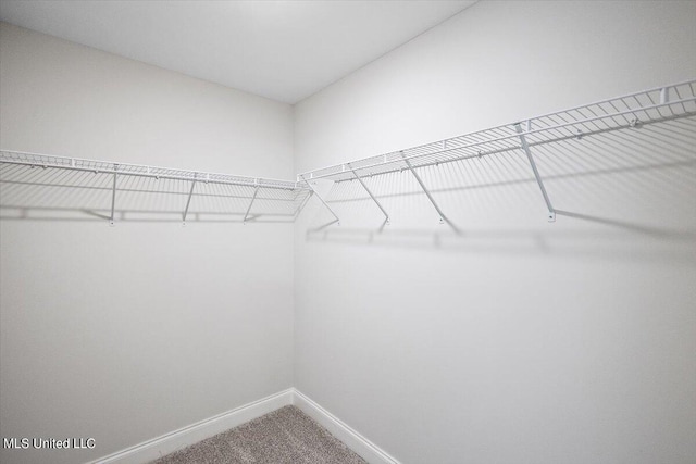 spacious closet with carpet flooring