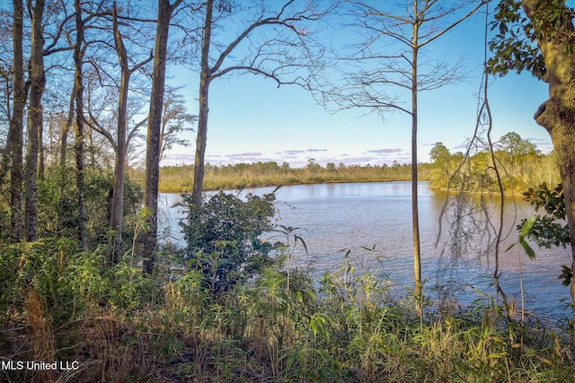 6500 Crump Rd, Kiln MS, 39556 land for sale