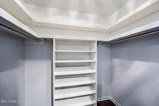 spacious closet with dark hardwood / wood-style floors