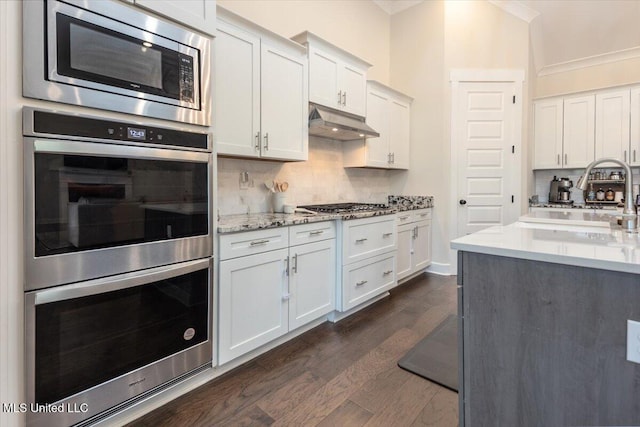13604 Live Oak Loop, Olive Branch, MS 38654 - kitchen featuring appliances with stainless steel finishes, under cabinet range hood, a sink, backsplash, and dark wood-style floors