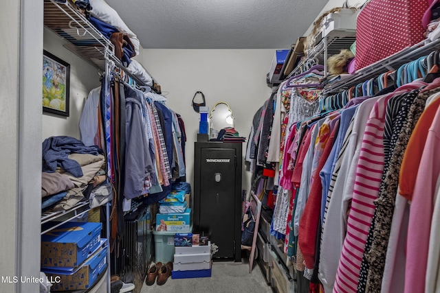 115 Deer Creek Cv, Madison, MS 39110 - spacious closet with carpet