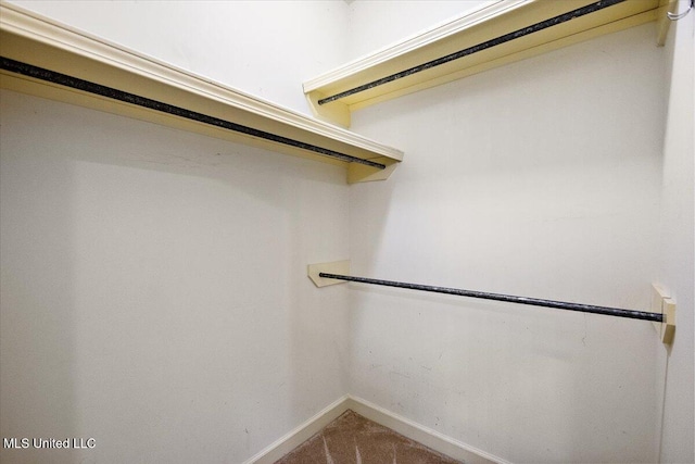 412 Dunlin Ct, Brandon, MS 39047 - view of walk in closet