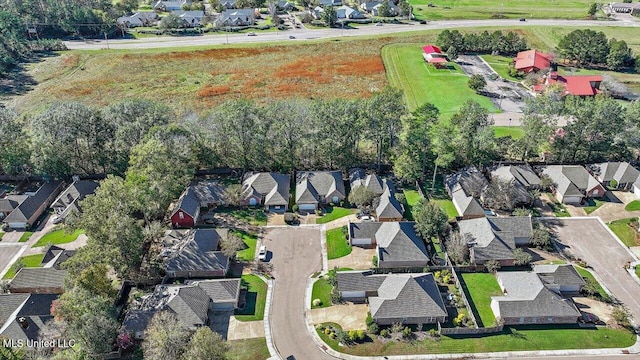 bird's eye view