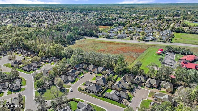 bird's eye view