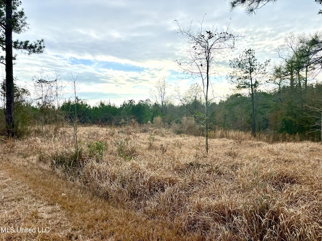 Robert Rhodes Rd, Poplarville MS, 39470 land for sale