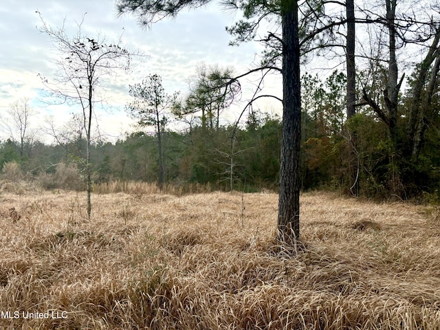 Listing photo 2 for Robert Rhodes Rd, Poplarville MS 39470