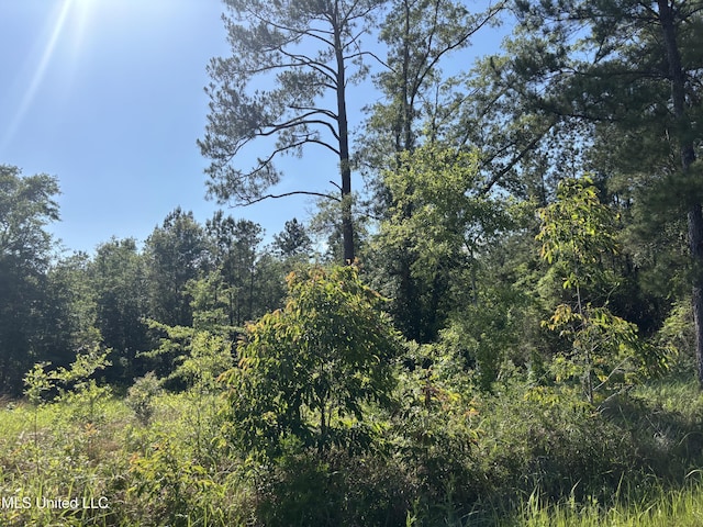 Robert Rhodes Rd, Poplarville, MS 39470