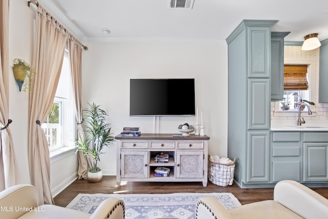 living room with dark hardwood / wood-style flooring, sink, and ornamental molding