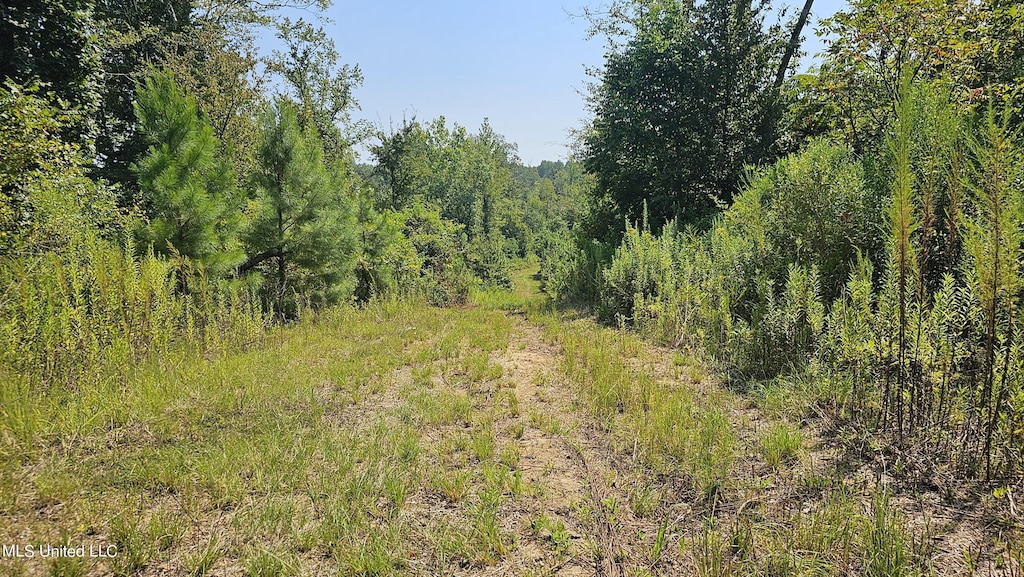 Rathell Rd, Lexington, MS 39095