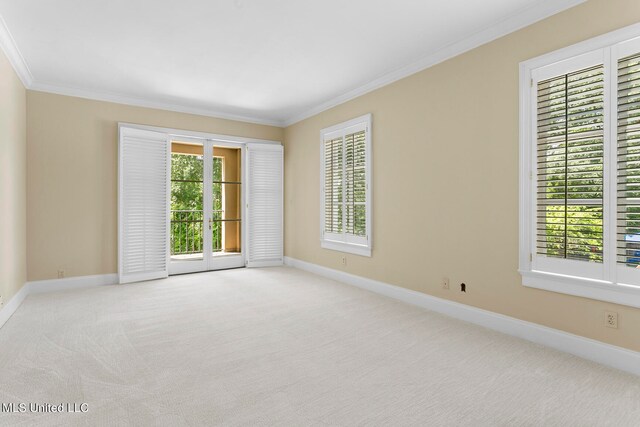 spare room featuring ornamental molding and light colored carpet