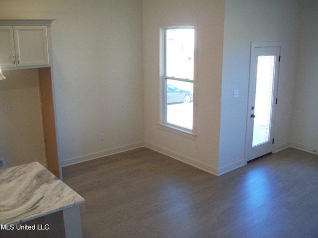 interior space with dark hardwood / wood-style flooring and a wealth of natural light