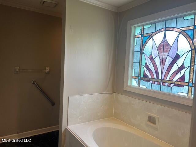 bathroom featuring ornamental molding and a washtub